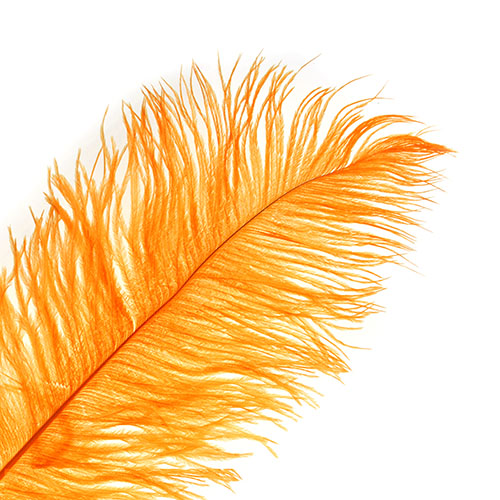 Ostrich Drab Feathers 11-13in (1pc) 