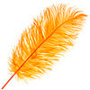 Ostrich Drab Feathers 11-13in (1pc) 