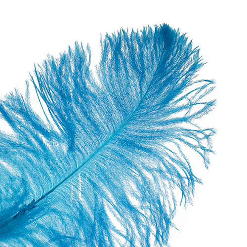 Ostrich Drab Feathers 11-13in (1pc) 