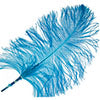 Ostrich Drab Feathers 11-13in (1pc) 