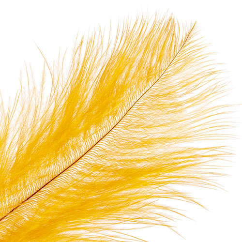 Ostrich Drab Feathers 11-13in (1pc) 
