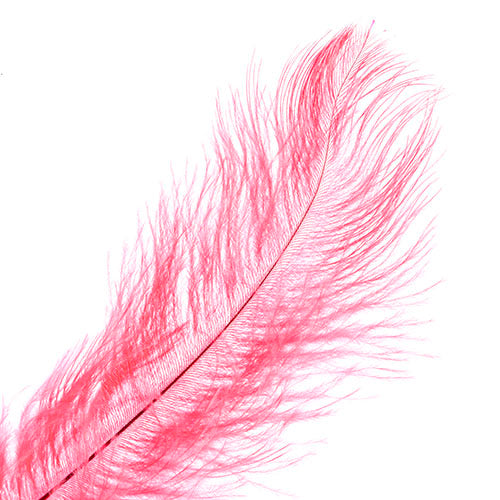 Ostrich Drab Feathers 11-13in (1pc) 