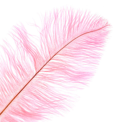 Ostrich Drab Feathers 11-13in (1pc) 