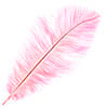 Ostrich Drab Feathers 11-13in (1pc) 