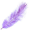 Ostrich Drab Feathers 11-13in (1pc) 