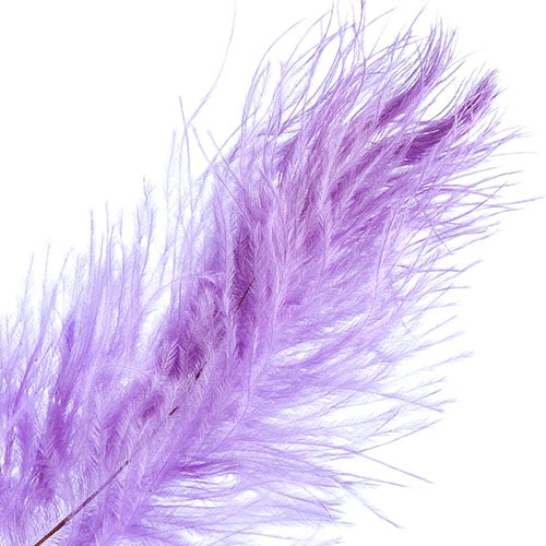 Ostrich Drab Feathers 11-13in (1pc) 