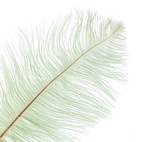 Ostrich Drab Feathers 11-13in (1pc) 
