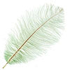 Ostrich Drab Feathers 11-13in (1pc) 