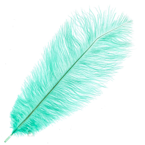 Ostrich Drab Feathers 11-13in (1pc)