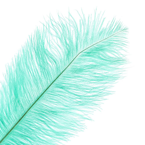 Ostrich Drab Feathers 11-13in (1pc) 