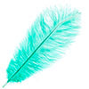 Ostrich Drab Feathers 11-13in (1pc) 