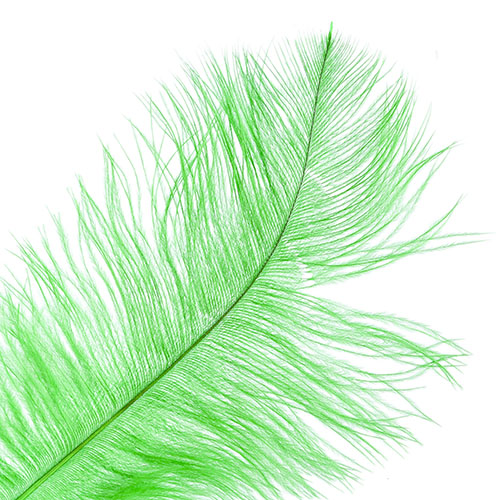 Ostrich Drab Feathers 11-13in (1pc) 