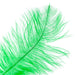 Ostrich Drab Feathers 11-13in (1pc) 