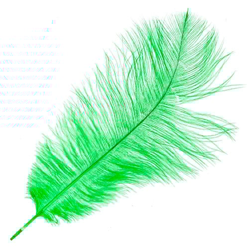 Ostrich Drab Feathers 11-13in (1pc)