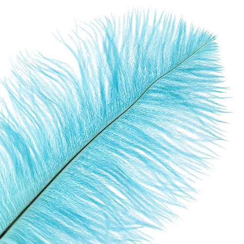 Ostrich Drab Feathers 11-13in (1pc) 