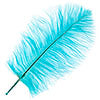Ostrich Drab Feathers 11-13in (1pc) 