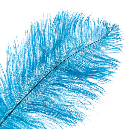 Ostrich Drab Feathers 11-13in (1pc) 