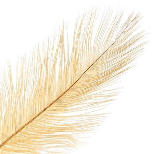 Ostrich Drab Feathers 11-13in (1pc) 