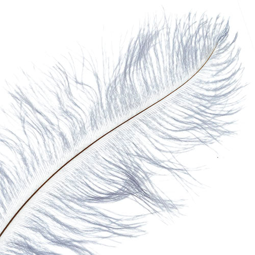 Ostrich Drab Feathers 11-13in (1pc) 