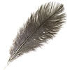 Ostrich Drab Feathers 11-13in (1pc) 