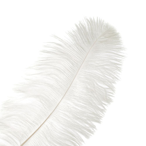 Ostrich Drab Feathers 14-16in (1pc) 