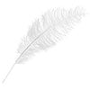 Ostrich Spad Wing 24in+ (1pc) 