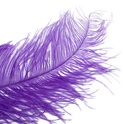 Ostrich Spad Wing 24in+ (1pc) 