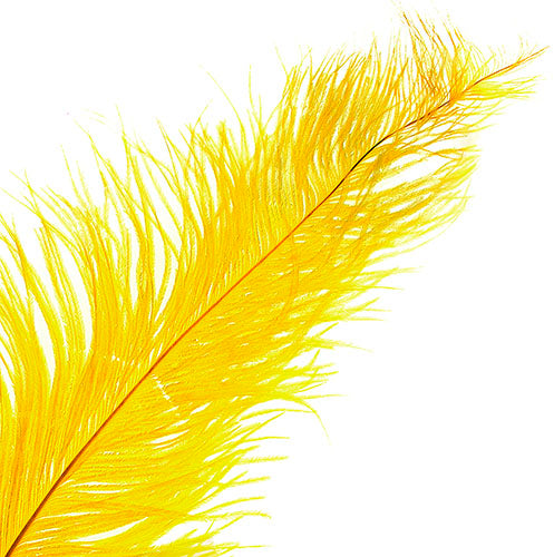 Ostrich Spad Wing 24in+ (1pc) 