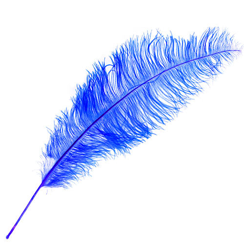 Ostrich Spad Wing 24in+ (1pc)