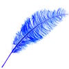 Ostrich Spad Wing 24in+ (1pc) 