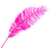 Ostrich Spad Wing 24in+ (1pc) 