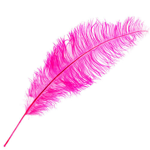 Ostrich Spad Wing 24in+ (1pc)