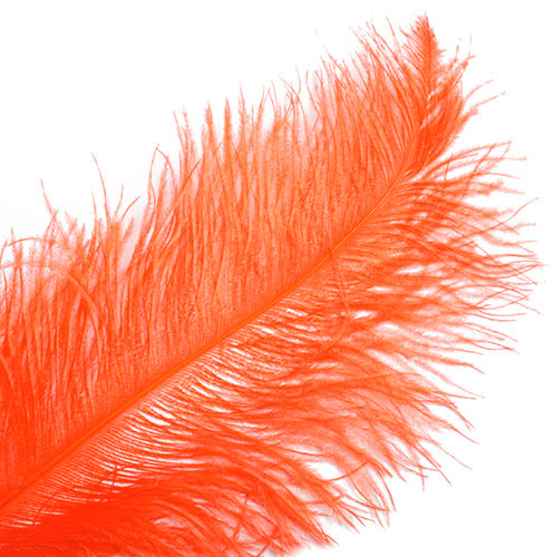 Ostrich Spad Wing 24in+ (1pc) 