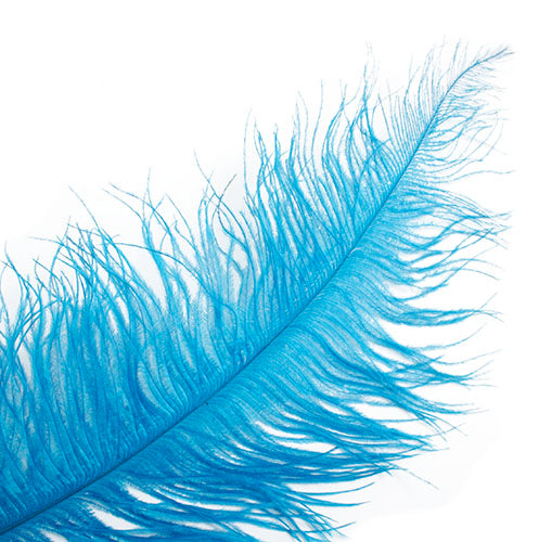 Ostrich Spad Wing 24in+ (1pc) 