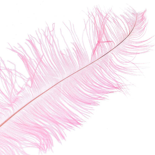 Ostrich Spad Wing 24in+ (1pc) 