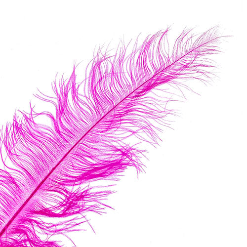 Ostrich Spad Wing 24in+ (1pc) 