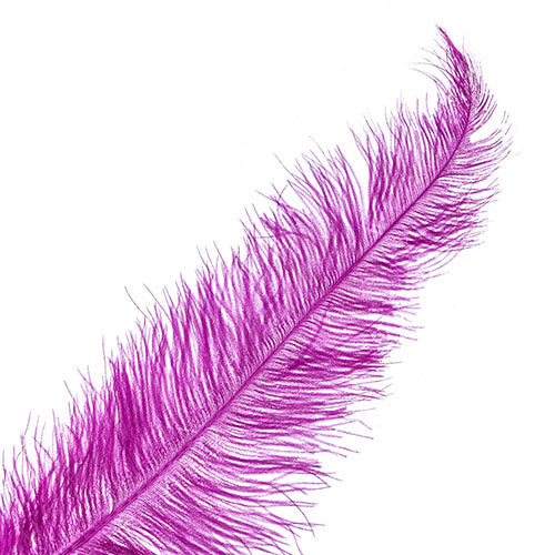 Ostrich Spad Wing 24in+ (1pc) 