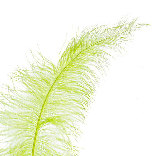 Ostrich Spad Wing 24in+ (1pc) 