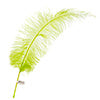 Ostrich Spad Wing 24in+ (1pc) 