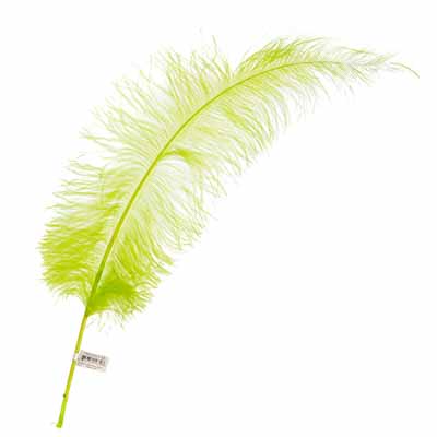 Ostrich Spad Wing 24in+ (1pc)