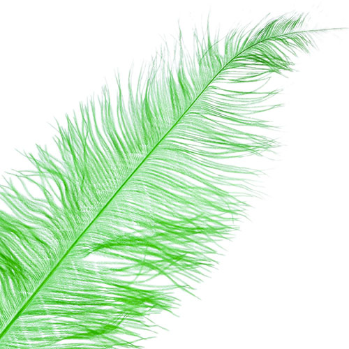 Ostrich Spad Wing 24in+ (1pc) 