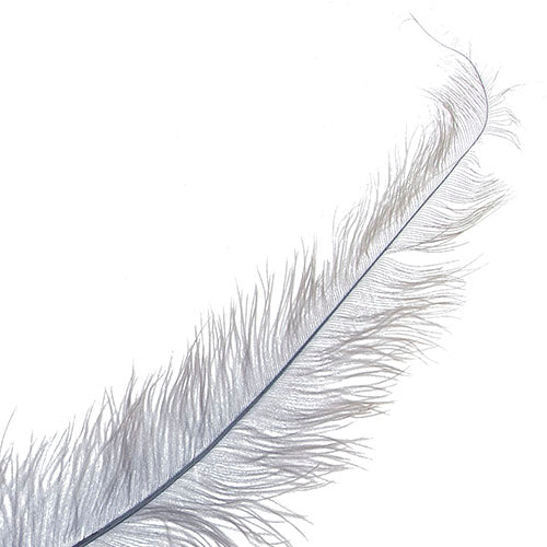 Ostrich Spad Wing 24in+ (1pc) 