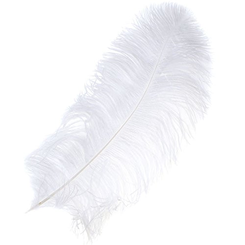 Ostrich Wing Feather 18-24in (1pc)