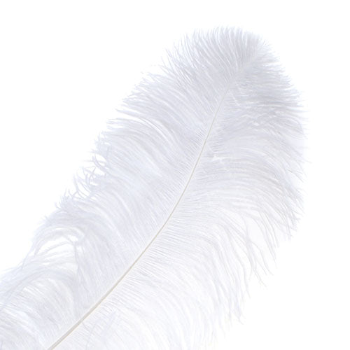 Ostrich Wing Feather 18-24in (1pc) 