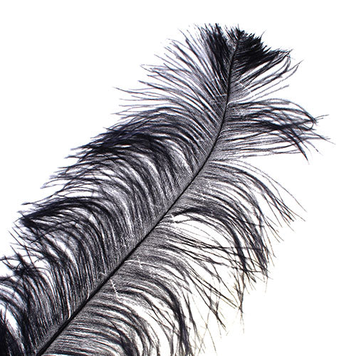 Ostrich Wing Feather 18-24in (1pc) 