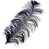 Ostrich Wing Feather 18-24in (1pc) 