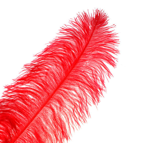 Ostrich Wing Feather 18-24in (1pc) 