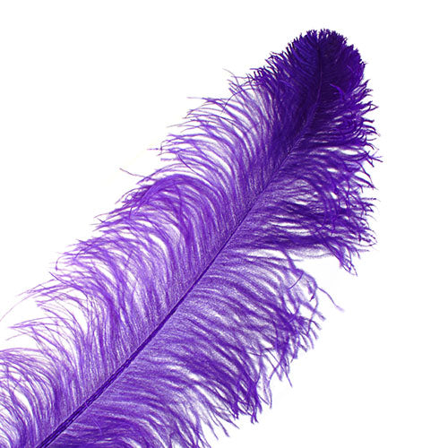 Ostrich Wing Feather 18-24in (1pc) 