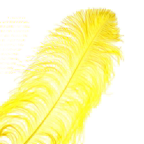 Ostrich Wing Feather 18-24in (1pc) 