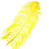 Ostrich Wing Feather 18-24in (1pc) 